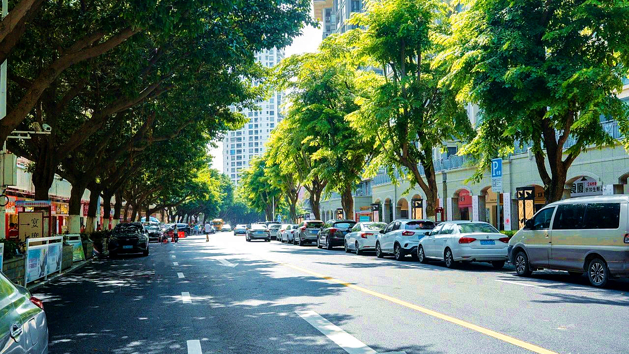 1694591712282876.jpg 樣板區(qū)域道路提升受好評 (3).jpg